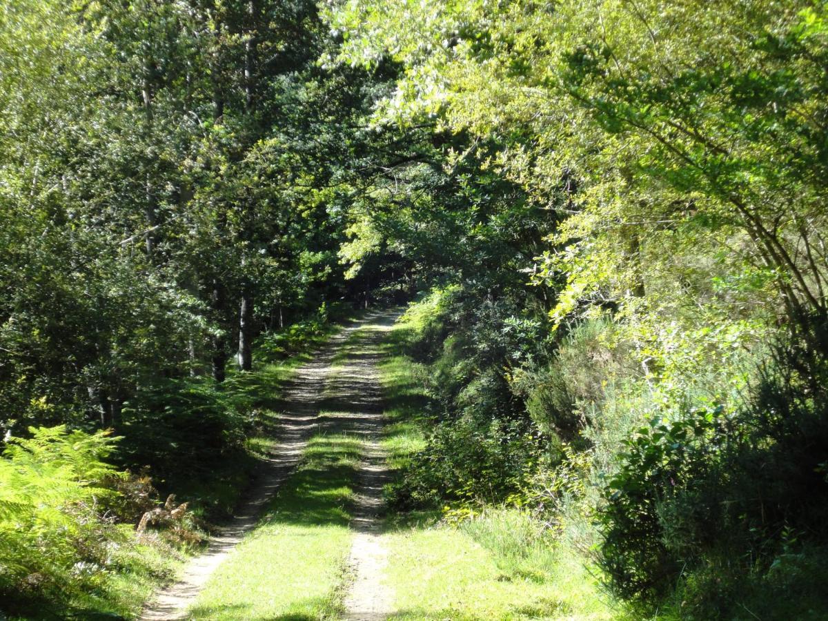 El Mirador De Casa Guarena Vendégház Villabascones de Sotoscueva Kültér fotó